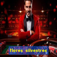 flores silvestres desbravadores desbravadores 25